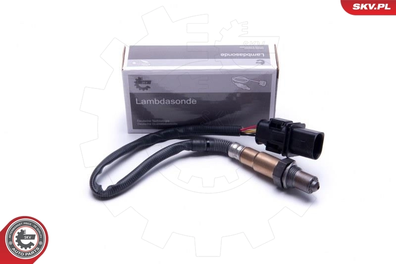 Oxygen Sensor
